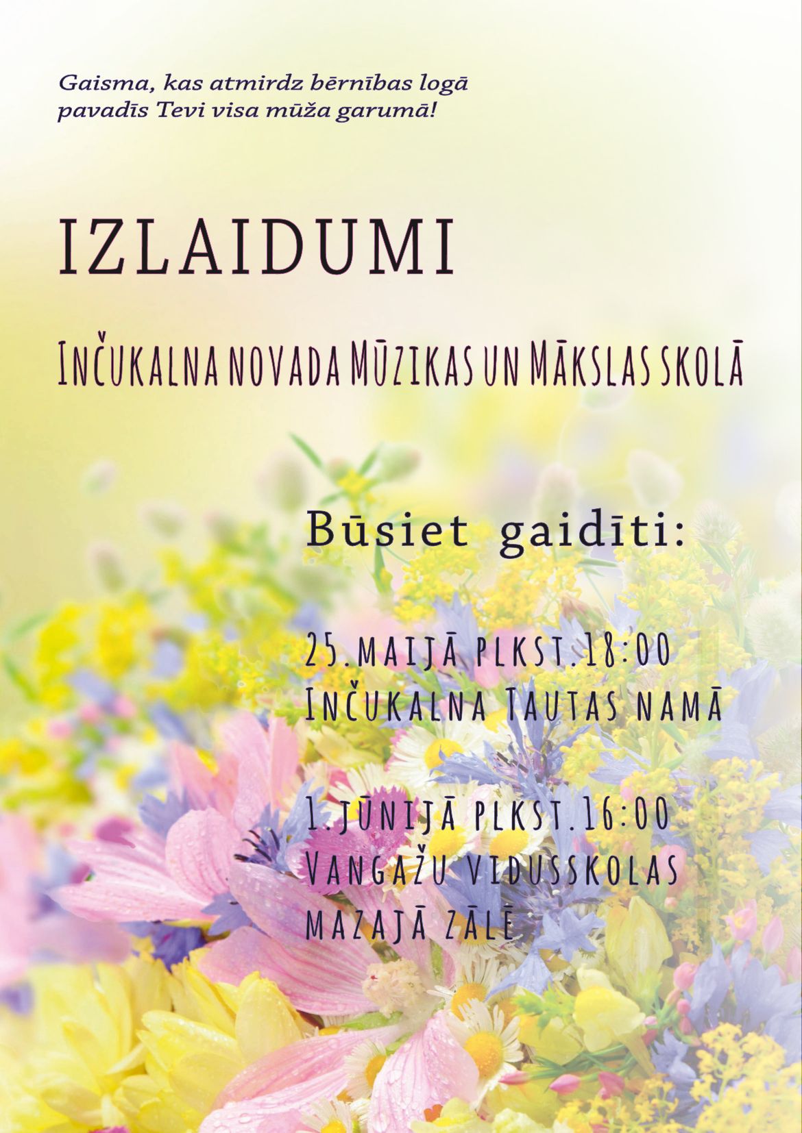 Izlaidums 2017 1