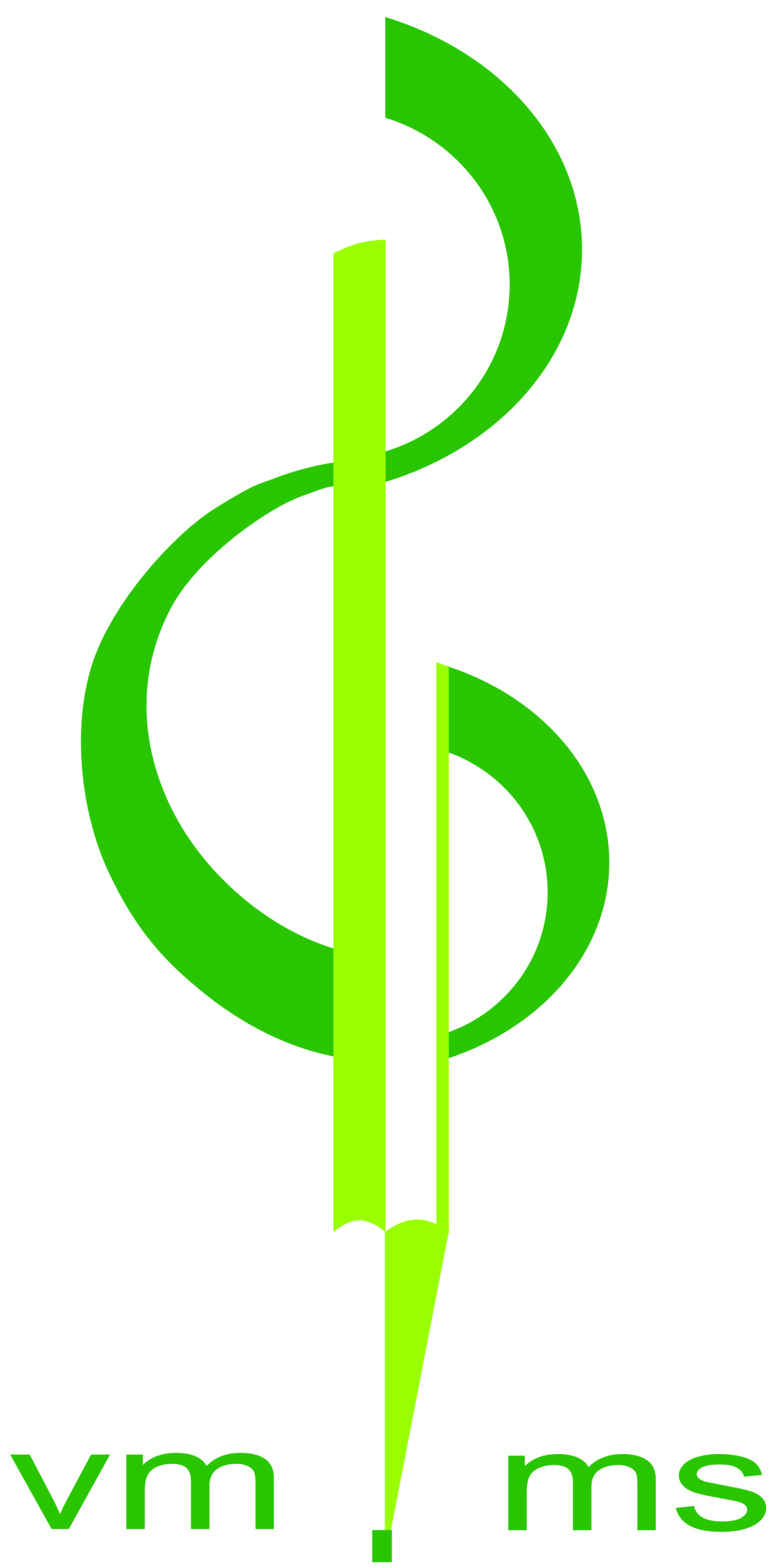 logo vmms